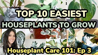 Houseplant Care 101 Top 10 Easiest Houseplants To Grow  Easy Care Houseplants  Episode 3 [upl. by Anissej182]