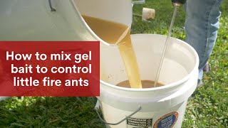 How to Mix Gel Bait to Control Little Fire Ants [upl. by Ynahpets]