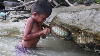 Survival Skills Finding Chiton and Cooking on Sand [upl. by Lauber]