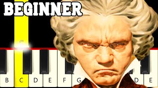 5th Symphony Beethoven  Easy and Slow Piano tutorial  Beginner [upl. by Ahcsat]