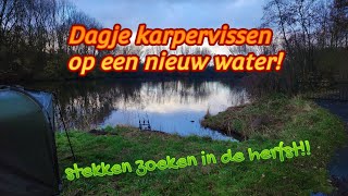 Dagje karpervissen op een nieuw water Stekken zoeken in de herfst [upl. by Mena]