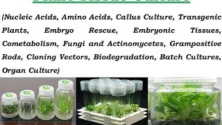 Plant Tissue Culture [upl. by Ecadnarb494]