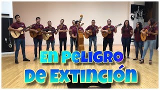 En Peligro de Extinción  Rondalla Arpegio ENSAYO [upl. by Marba]