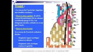 Anatomie de loesophage et du SIO [upl. by Cindie]