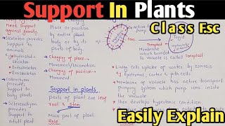 Introduction Support And Movement  Support In Plants  Class 12 Biology [upl. by Lebazi]