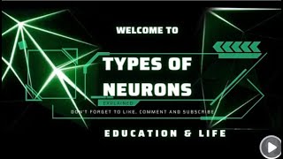 Neurons  Types of Neurons  Complete explained [upl. by Lodi524]