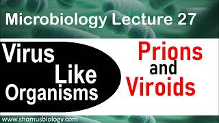 Prions and viroids [upl. by Amelia]