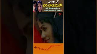 ఏమనినే చెలి పాడుదునో Yemanine Cheli Paduduno Song  Mantri Gari Viyyankudu Shorts Youtubeshorts [upl. by Eatnoid690]