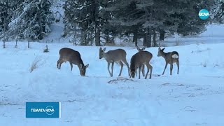 Темата на NOVA „Време за туризъм” 23112024 [upl. by Idyak]