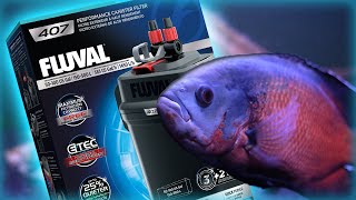 Fluval 407 Canister Filter Setup amp Review [upl. by Ennaul]