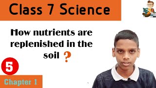 How nutrients are replenished in the soil Nutrition in Plants Class 7 Science chapter 1 [upl. by Nodnorb]