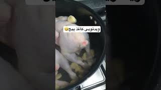 این چه قسم جانوری است🤣 [upl. by Elga344]