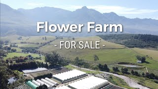 Flower Farm For Sale  Swellendam Western Cape 071 9566 132 [upl. by Evadnee573]