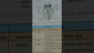 class 7 poribesh o biggan 3rd unit test suggestions 2024 [upl. by Aitercul]