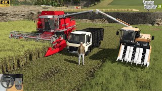 Jornada de Trabajo en los Arrozales amp Compro un Nuevo Campo HUTAN PANTAI fs25 Episodio 8 [upl. by Nylisoj]