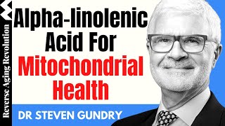 The Unexpected Health Benefits Of Alphalinolenic Acid  Dr Steven Gundry Interview Clips [upl. by Renferd671]