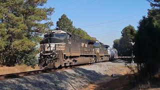 NS trains in Pell City AL 1024102524 [upl. by Joshia499]