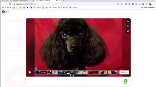 Combining Multiple Video Clips Using Flipgrid plus trim amp reorder clips [upl. by Hotze149]