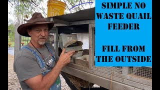 Raising Coturnix Quail for Meat and Eggs  The Best little DIY Quail Feeder  A little About Quail [upl. by Zelikow992]