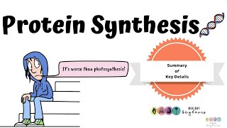 Biology Bugbears Protein SynthesisLeaving Cert Biology 2025New Video Summary [upl. by Oberheim]