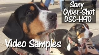 Sony CyberShot DSCH90 Video Samples [upl. by Noe]