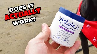 PetLab Co Review Do Probiotics For Dogs Really Help Yeast [upl. by Leahkim]