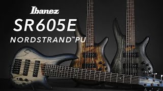 Ibanez RG Truss rod adjustment [upl. by Bord330]