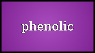 Phenolic Meaning [upl. by Innej]