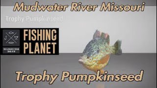 Fishing Planet Trophy Pumpkinseed Mudwater River Missouri [upl. by Atalanta]