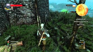 The Witcher 3  A Towerful of Mice Use Magic Lamp to Find Ghosts 1st Sequence Flashback Vision [upl. by Auop]