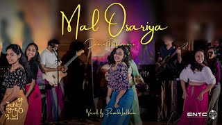 Mal Osariya  මල් ඔසරිය  Tronic Padura 2024 [upl. by Aniaz663]