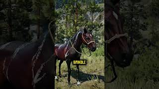 Rare horses location in Rdr2 🐎🔥 rdr2 reddeadredemtion2 gaming [upl. by Odirfliw]