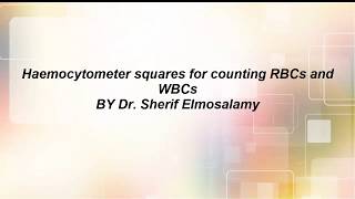 Haemocytometer squares to count Rbcs and WbcS [upl. by Lai606]