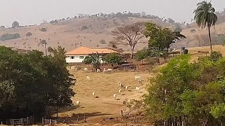 Paisagens em época de seca e Sol na região de cristais Paulista sp [upl. by Montford]