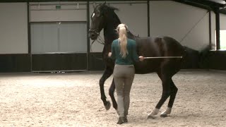 Pirouette in hand  Marijke de Jong amp Romanesque [upl. by Hsirk]