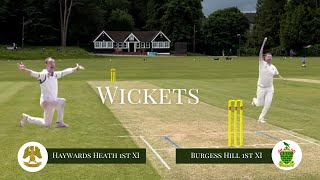 Wickets HHCC 1st XI v Burgess Hill 1st XI 06072024 [upl. by Isayg]