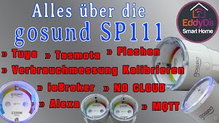 Alles über die GosundNOUS SP111 Steckdose Smart Home Tasmota Flashen Tuya SmartLife [upl. by Drahsar]