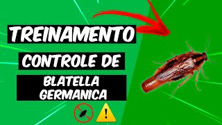 Controle de Blatella Germanica  Treinamento [upl. by Gatian199]