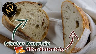 Das passiert wenn du deinen Sauerteig 2 Monate nicht fütterst [upl. by Charron]