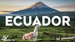 Top 10 Best Cities to Visit in Ecuador  Travel Video 2024 [upl. by Immot]