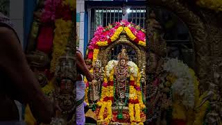 Kanda sasthi Day 1 love godmuruga hindugodsongs motivation murugasongs song hindugod [upl. by Ynnhoj]