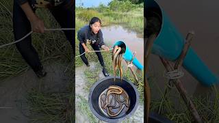 Survival Skills Build Simple and Useful Fish Tapping Systems survival useful shorts outdoors [upl. by Laura]