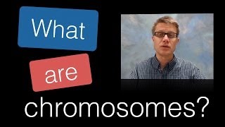 What are Chromosomes [upl. by Idihc645]