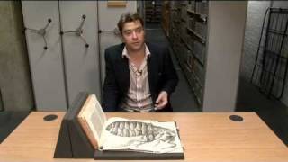 Treasures of the Bodleian Robert Hookes Micrographia [upl. by Ecinehs]