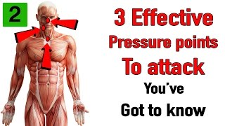 Three effective pressure points to attack you’ve got to know [upl. by Nola859]