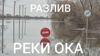 Разлив реки Ока Рязань Рязанская область 2024 год 6 апреля всемирный день настольного тенниса [upl. by Ayanet]