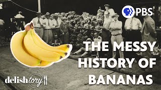 How Did the Banana Become the World’s Most Popular Fruit  Delishtory [upl. by Rosenblum656]