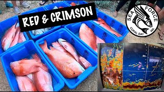 CRIMSON SNAPPER FIRE  Fishing Charter Fish Filleting Coral Bay Western Australia [upl. by Essirahc]