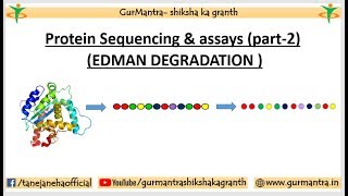 PROTEIN SEQUENCING amp ASSAYS  EDMAN DEGRADATION METHOD  PART2 [upl. by Ylenats]