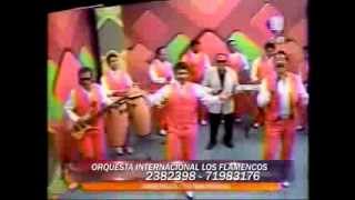 LOS FLAMENCOS  MIX [upl. by Solana]